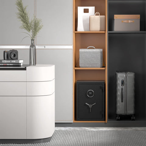 RPNB Deluxe safe biometric-entry demonstrates easy access for cash and jewelry