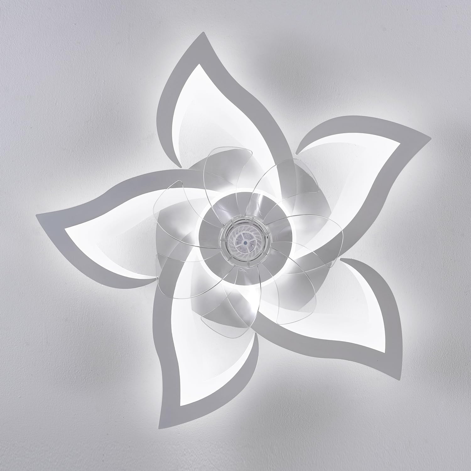Ruibutrade warranty and 24/7 support provide durable peace of mind.