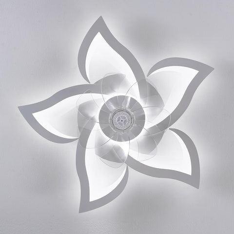Ruibutrade warranty and 24/7 support provide durable peace of mind.