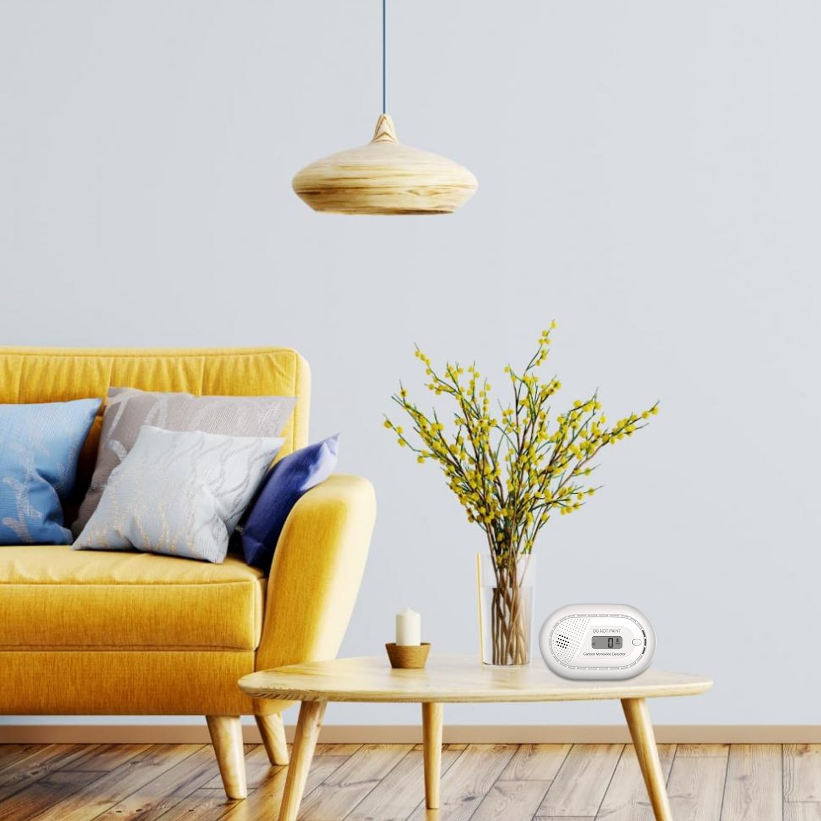 Runidur portable CO alarm unit suitable for home or travel.