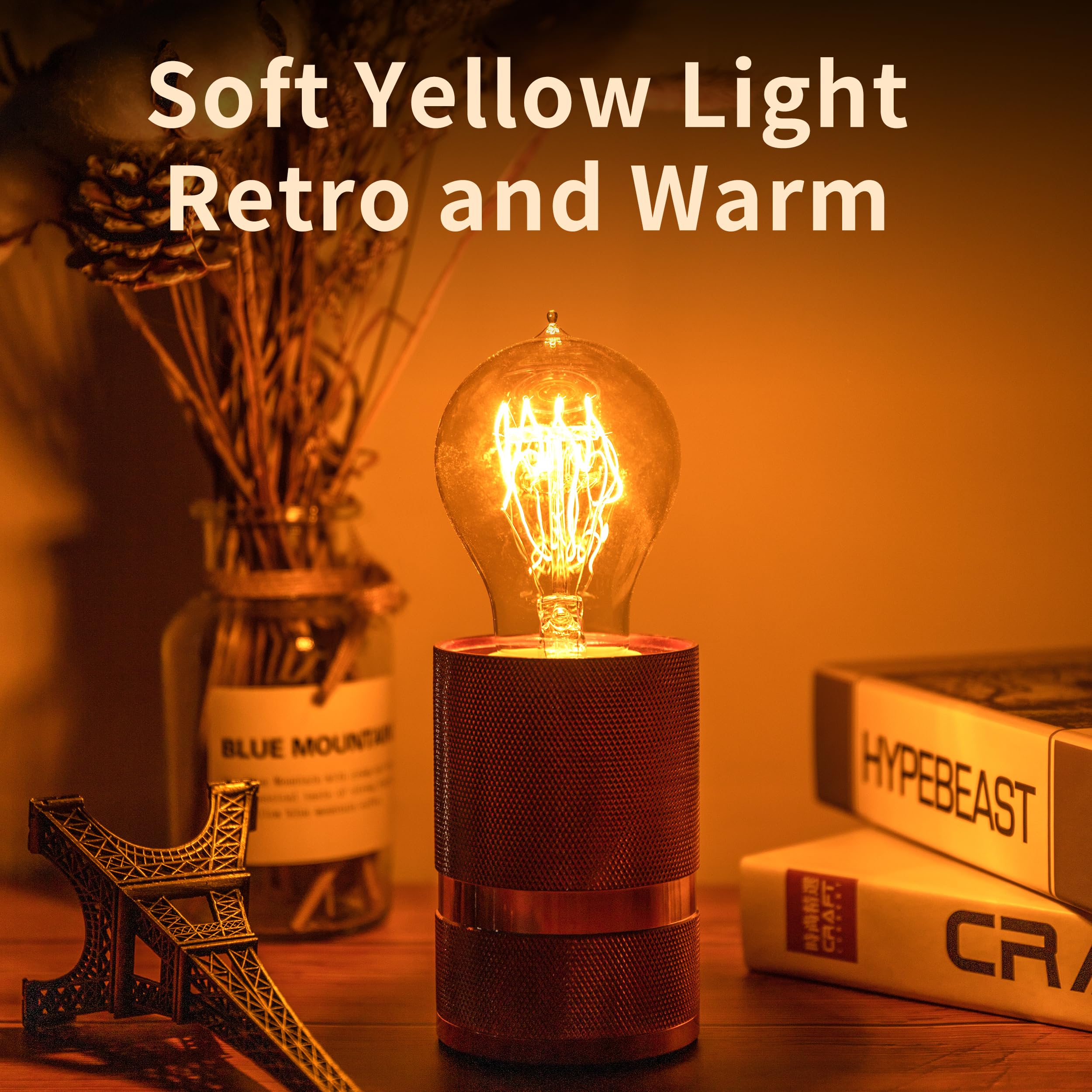 Runquiz vintage-style Edison bulbs ideal for sconces and pendants