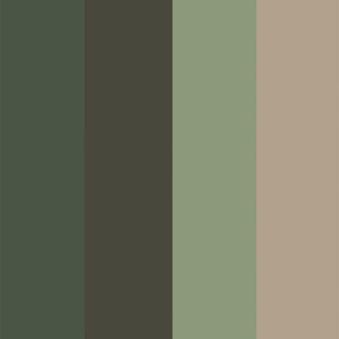 Rust-Oleum camouflage army green 12 oz can to blend gear during outdoor activities.