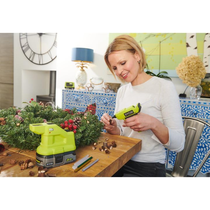 RYOBI ONE+ compatibility supports future tool upgrades