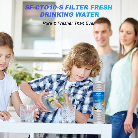 Sabethe pack of 4 filtration cartridges for home filtration