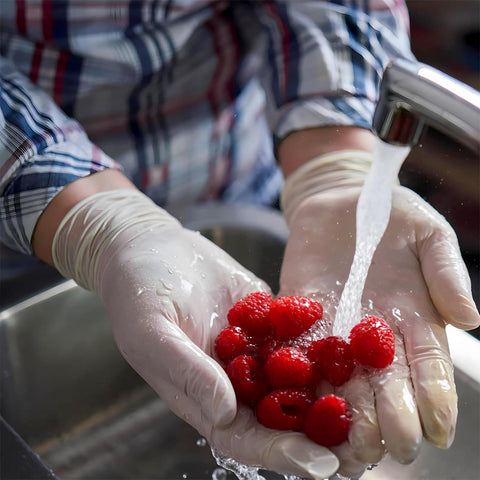 Safeguard latex powder-free gloves X-Large food service use in action.