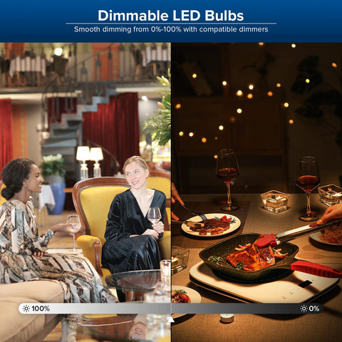 SANSI 25000-hour lifetime A21 LED bulb for low-maintenance fixtures.