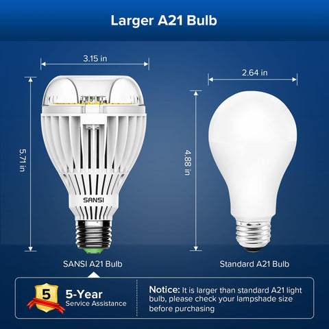 SANSI bulb ideal for home workspace and study areas