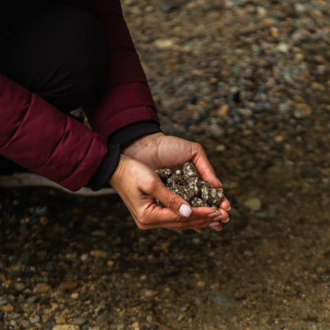 Santevia Mineral Stones provide a two-year lifespan for long-term hydration.