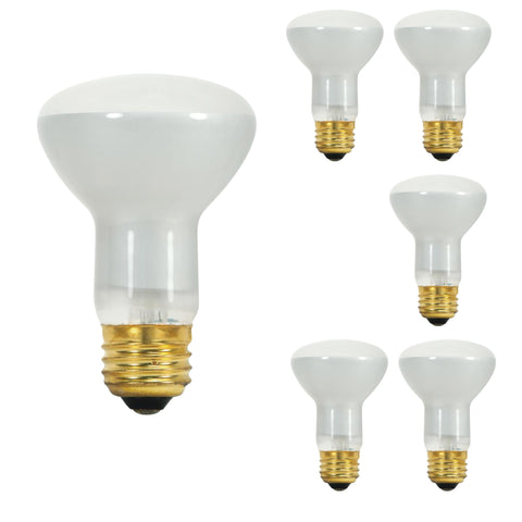 Satco S8519 45W R20 incandescent bulb for recessed lighting, warm glow
