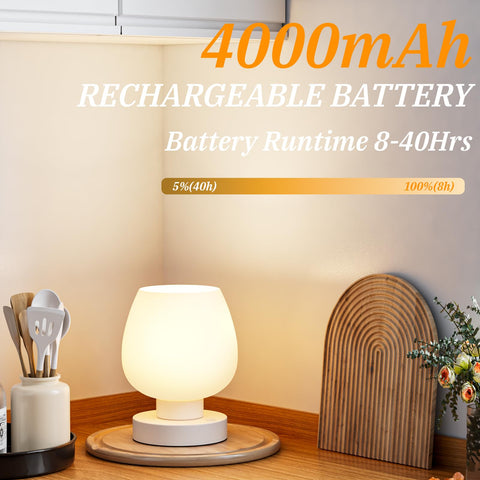 Seealle LED bulb delivers steady 3000K glow and long life