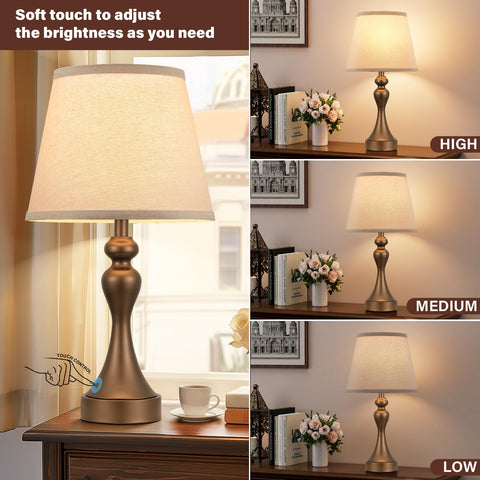Seealle touch lamps demonstrate low, medium, and high brightness for reading.