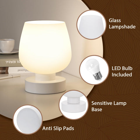 Tool-free assembly makes Seealle lamp quick to set up and enjoy.