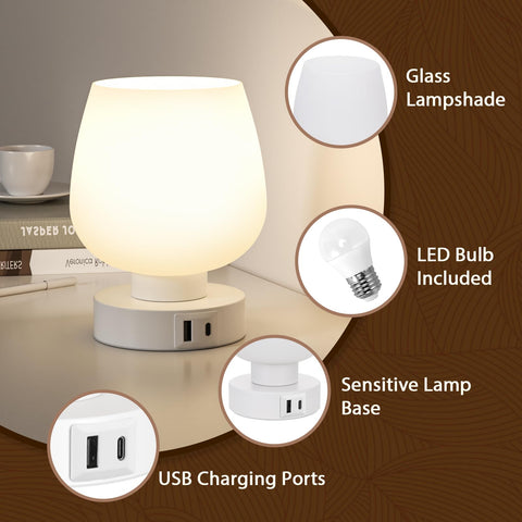 Seealle Touch Table Lamp complements living room setups with ambient lighting.
