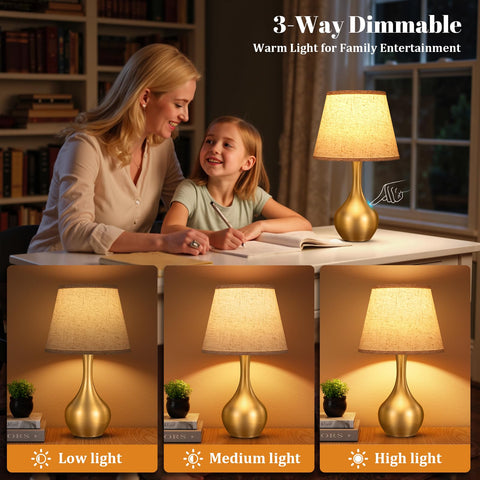 Seealle Touch lamp body design showcases modern silhouette and durable metal construction.