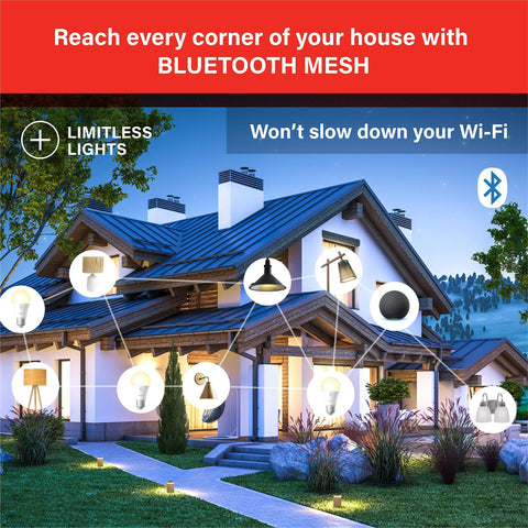 Sengled smart bulb energy monitor via Alexa app for usage insights.