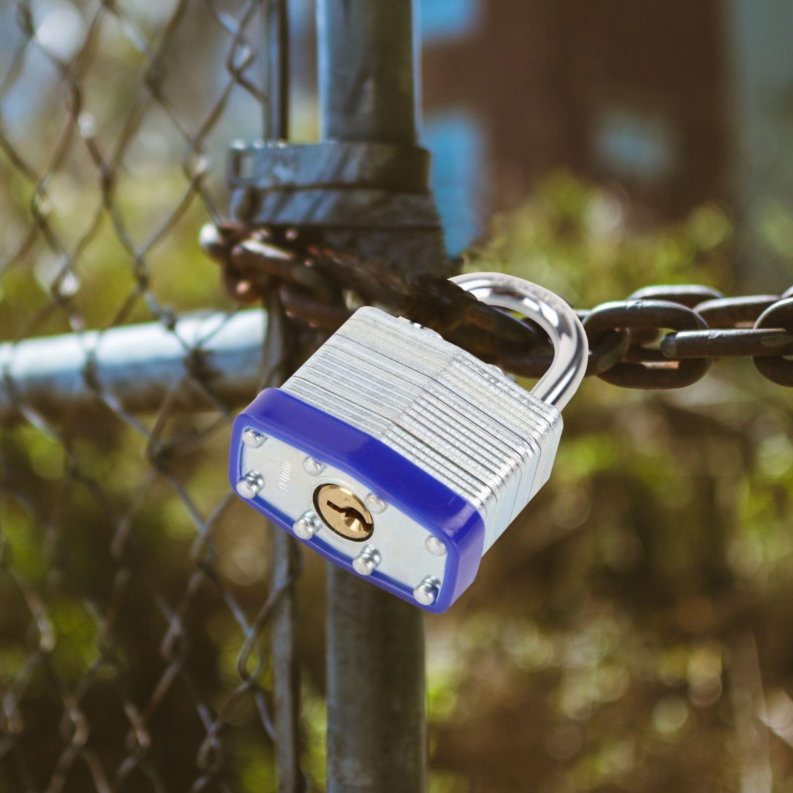 SEPOX Trinity padlocks mounted on gym locker illustrate compact security.