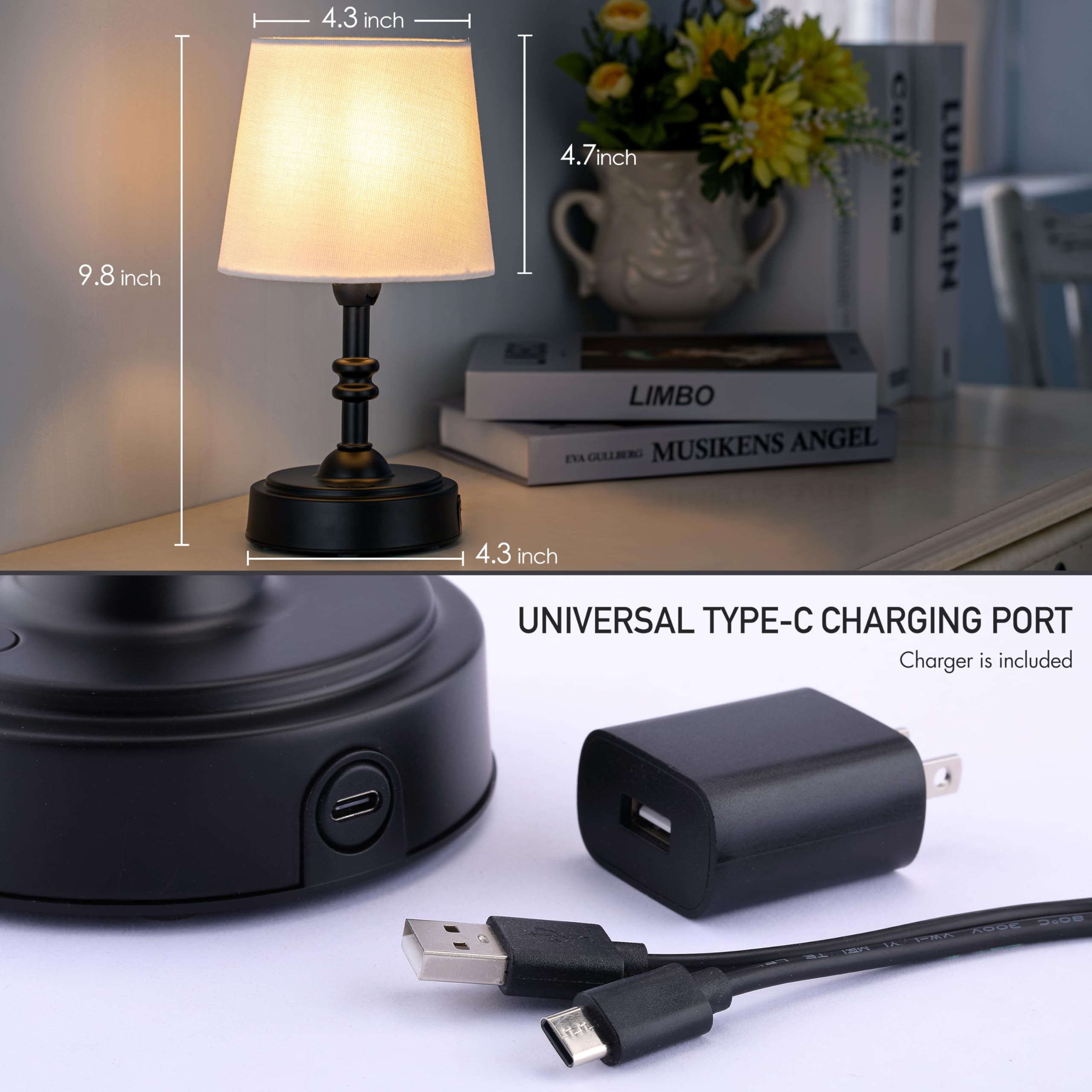 Seraph Mini USB-C recharge with included charger.