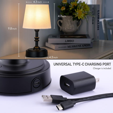 Seraph Mini USB-C recharge with included charger.