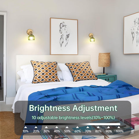 Shenmoyl adjustable color temperature for versatile mood lighting