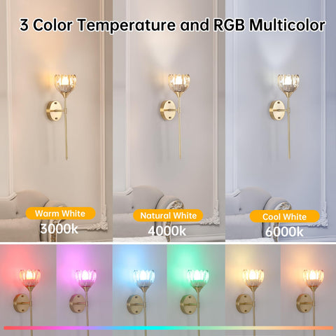 Shenmoyl rechargeable bulbs 3W 300lm with USB-C charging.