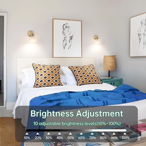Sconce mounted on wall showing renter-friendly installation