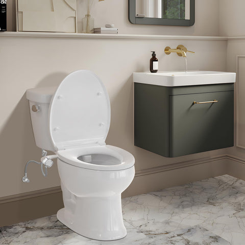 Shineforu home bathroom upgrade with non-electric bidet attachment
