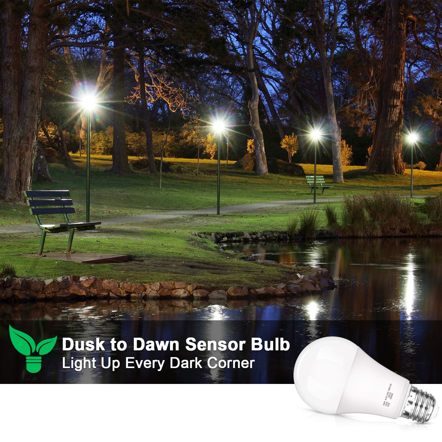 SHINE HAI long-life bulbs offer up to 25,000 hours of use.