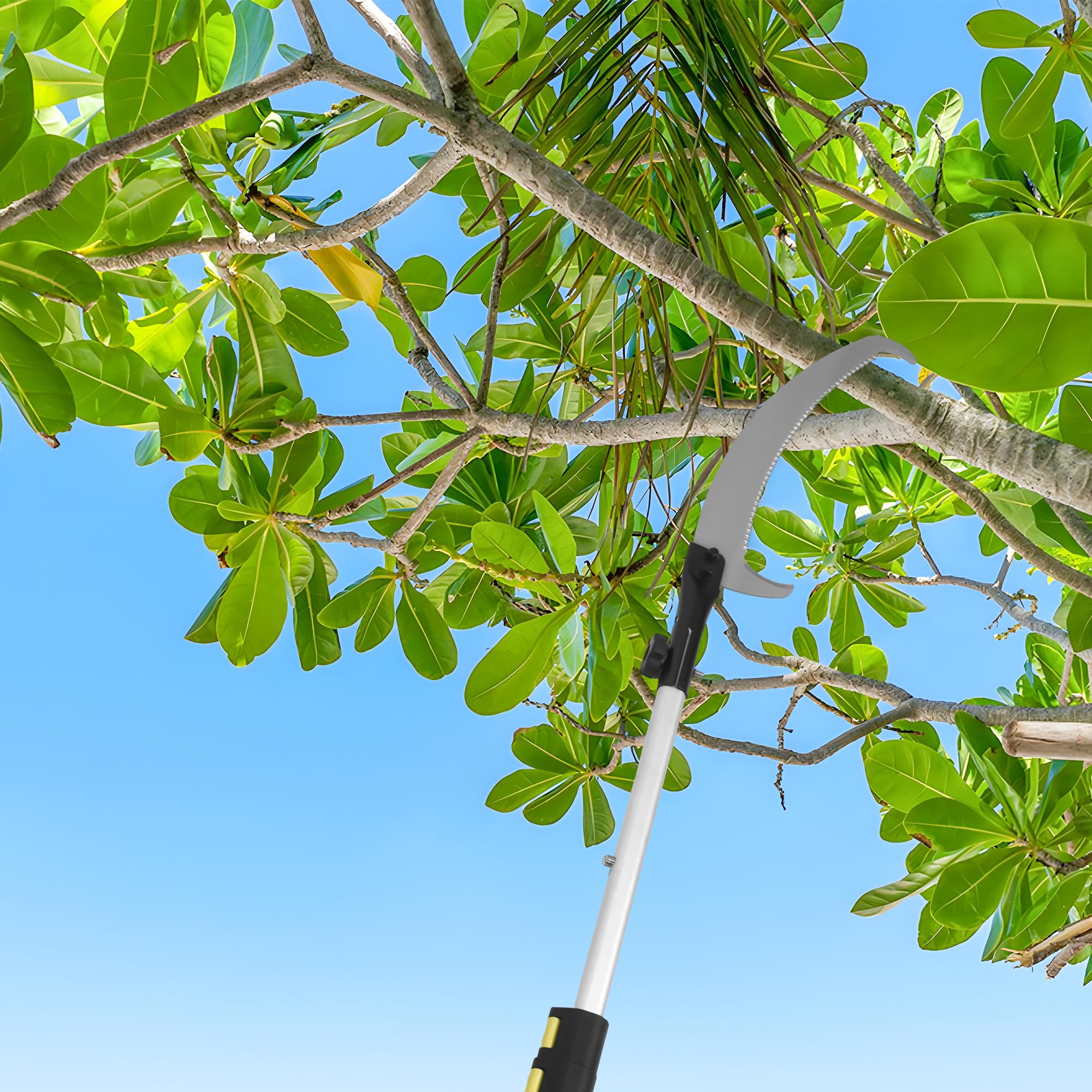 Shinming pole retracted to compact 6 feet for easy storage