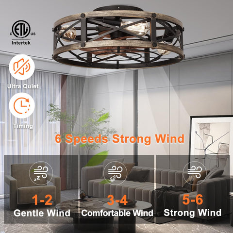 SHLUCE remote control fan with cage light and 6 speeds for versatile comfort.