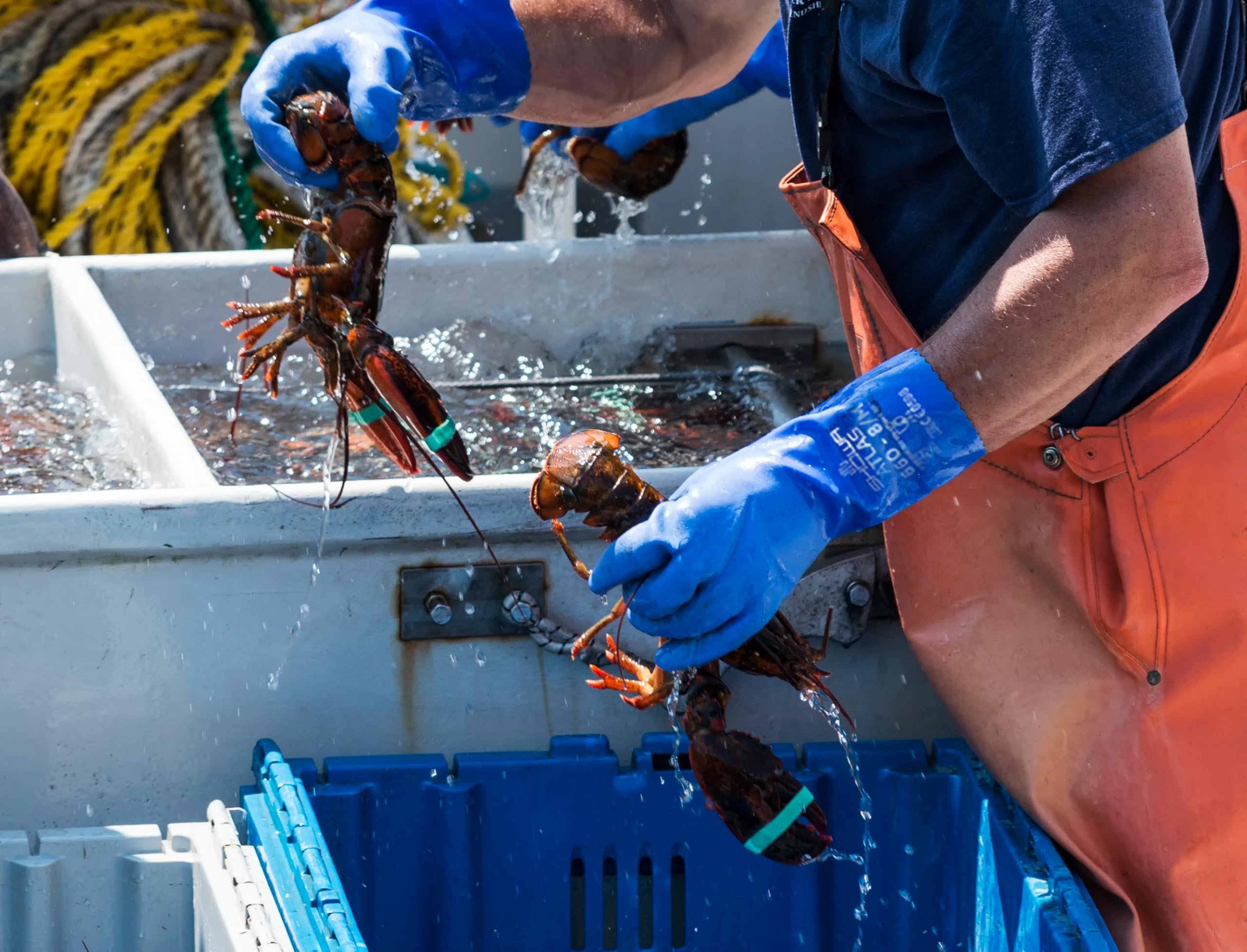 Showa Atlas 660 12-inch glove offers extended protection and dexterity
