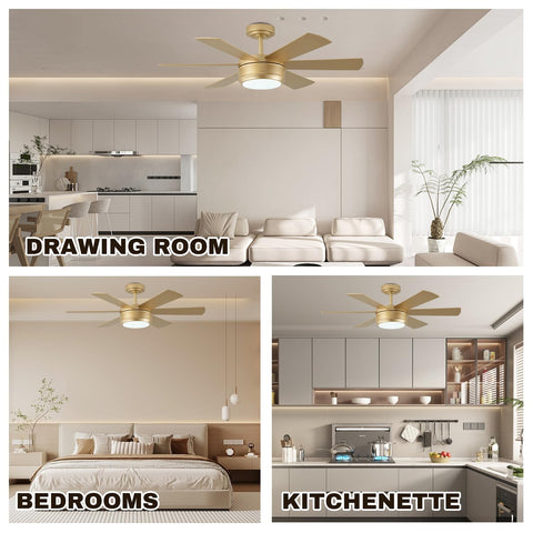 Showdi all-season operation with reverse airflow for year-round comfort.