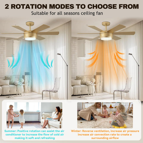 Showdi quick-install with complete hardware and setup video included.