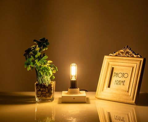 SHUWDKAR E14 LED bulb European base compatible with European fixtures