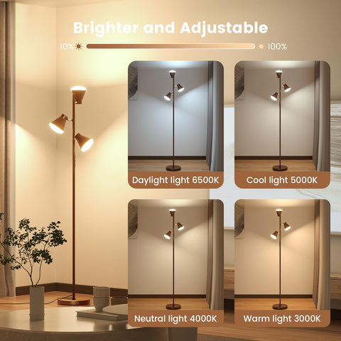 SIBRILLE touch control panel for easy brightness and color temperature shifts.