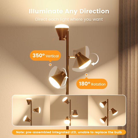 SIBRILLE triple-head design rotates to direct light precisely where needed.