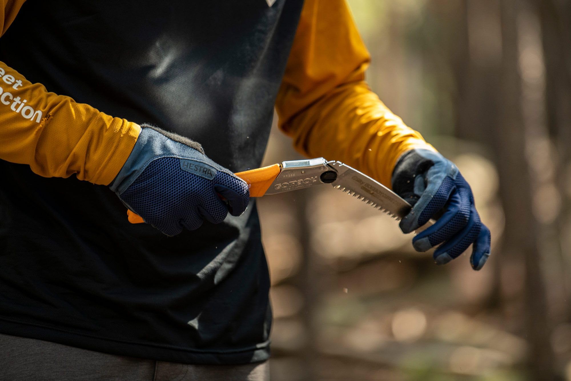 Silky GomBoy Curve Pro saw pruning action in use.