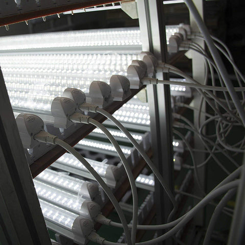 SinLoon 310 cm length connecting cord ideal for long ceiling installations.