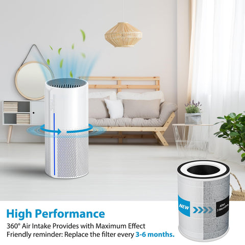 Sinnya FSC-certified paper filter highlighting eco-friendly materials