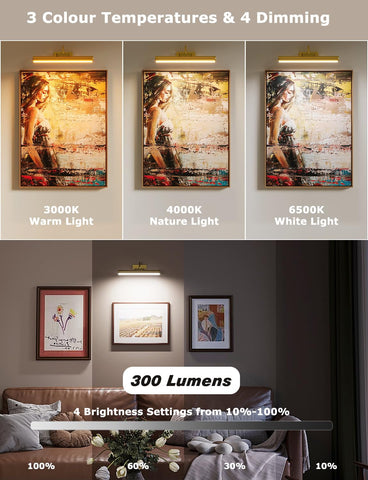 Skairipa art light with rotatable 13-inch head highlights paintings