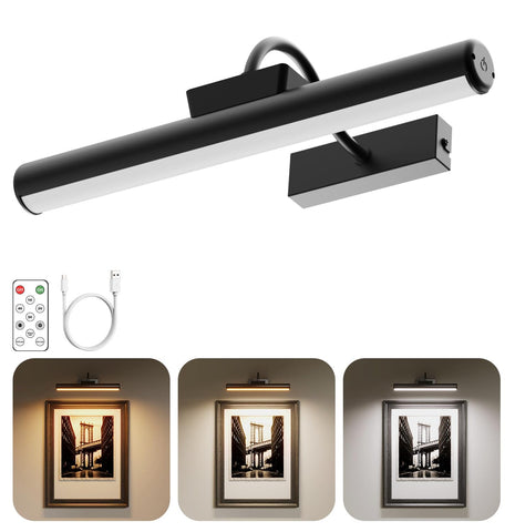 Skairipa picture light on artwork with even illumination highlighting details