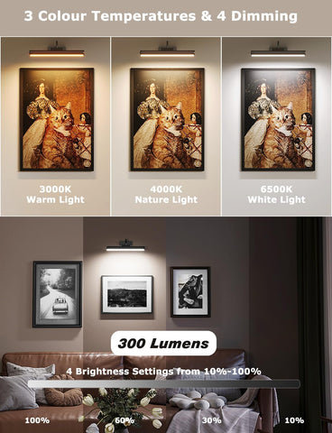 Skairipa picture light with remote control for easy adjustment