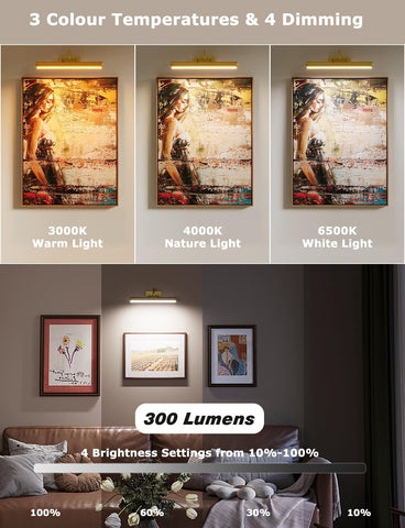 Skairipa battery operated art light with remote control for easy positioning