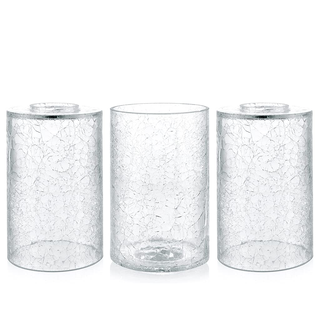Skelang crackle lipless glass lamp shade 6in elevates chandelier lighting with intricate patterns.