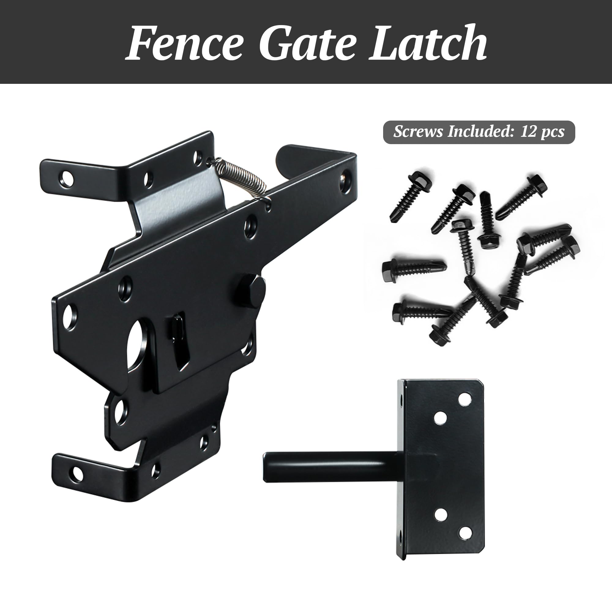 SKYSEN latch with black powder coated finish for weather resistance
