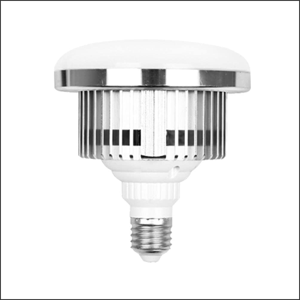 Skytex 2Pack lights suit photography and video setups in home studios.