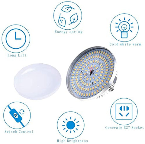 Skytex tri-color bulbs deliver warm to cool tones for portraits and product shoots.