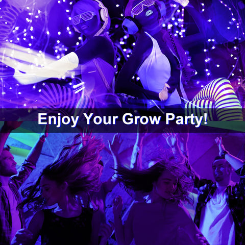 Smacen party-ready UV lights enhance Halloween and birthday celebrations.