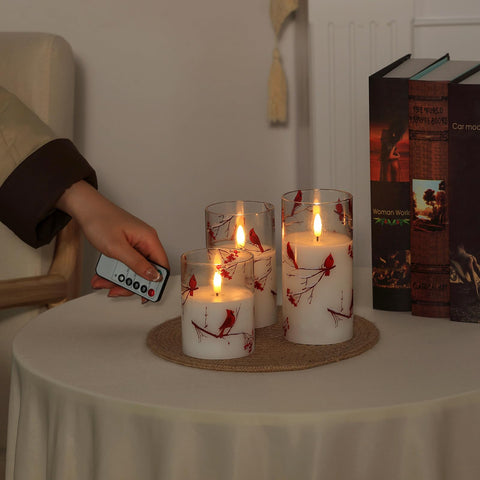SNUGBLAKI cardinal glass vessel candle displaying elegant glass glow