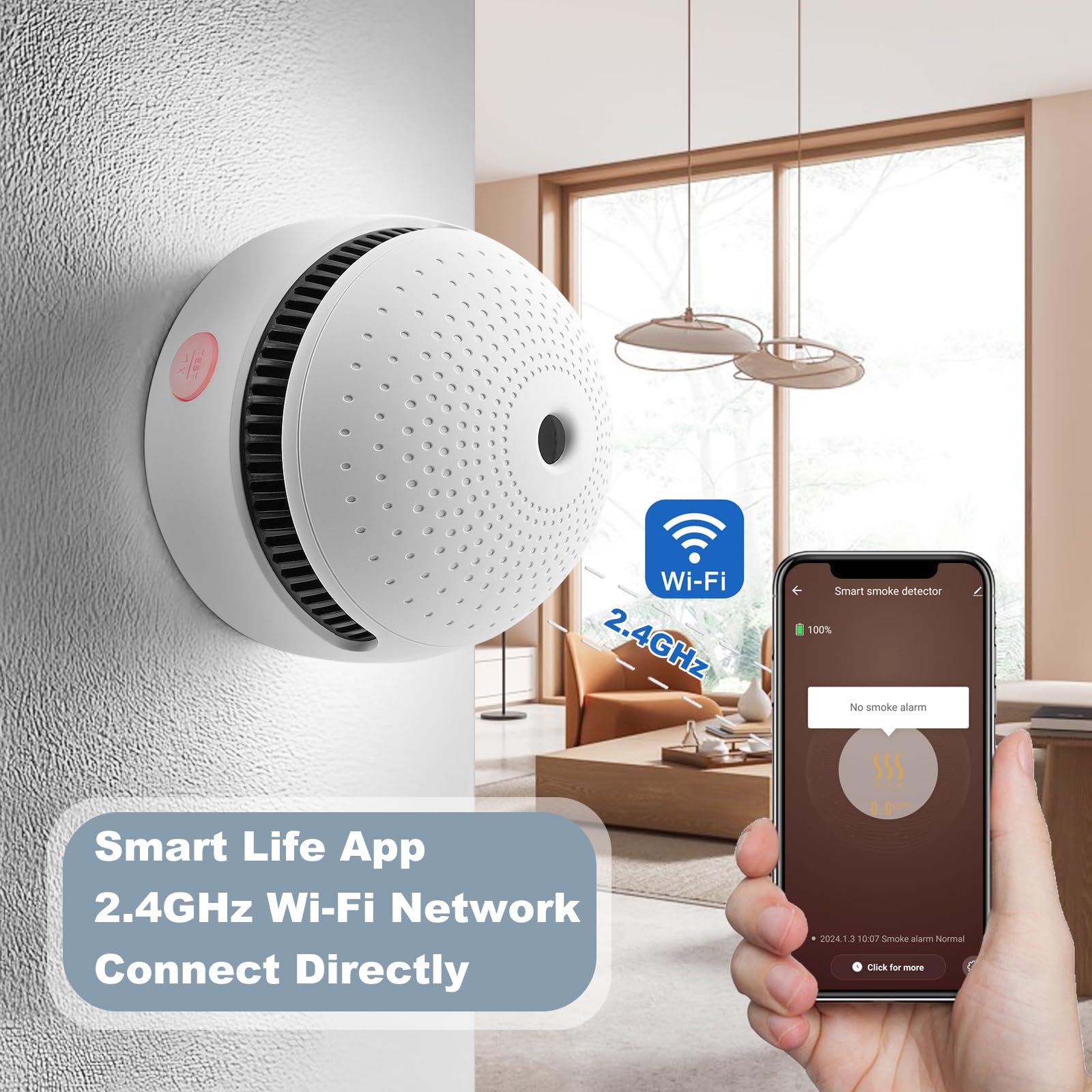Soewolit LED indicator and 85dB alarm show status clearly