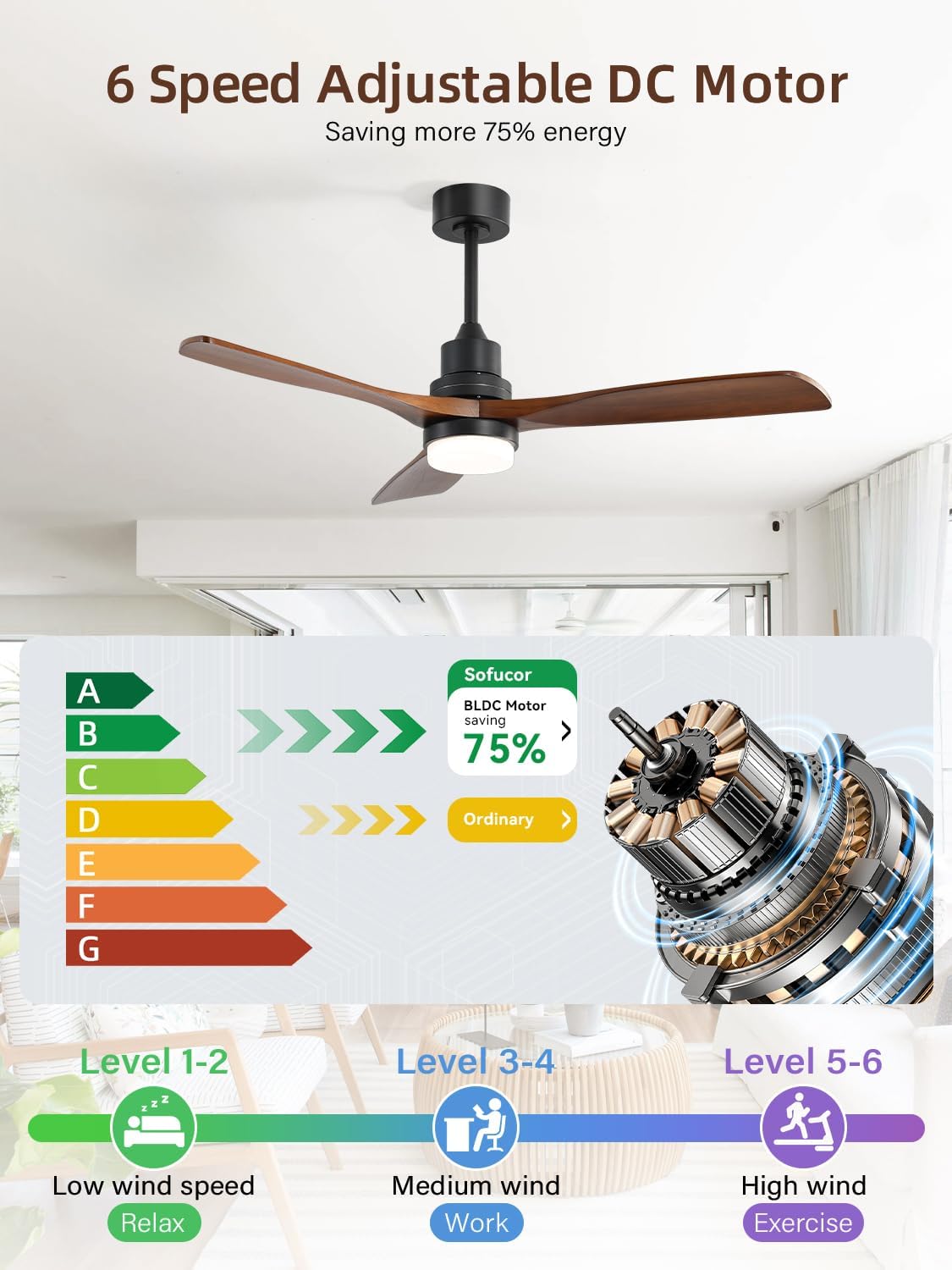 Sofucor reverse airflow feature balances seasonal temperatures.